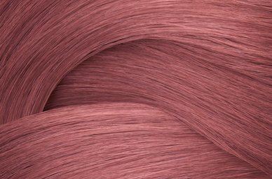 06VRo Mauve Rose  Violet Rose